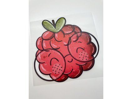 Nažehlovačka na oblečení - Malinka s brýlemi Š16cm x D16cm