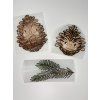 Nažehlovačka na oblečení - Šiška s brýlemi Š11cm x D14cm